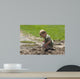 Toddler Playing Mud after Wall Decal