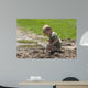 Toddler Playing Mud after Wall Decal