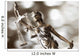 Statue Justice Wall Decal