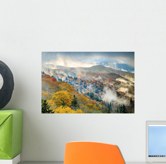 Great Smoky Mountains National Park Fog Wall Decal