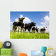 Holstein Cows Wall Decal
