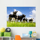 Holstein Cows Wall Decal
