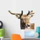 Rude Deer Wall Decal