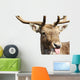 Rude Deer Wall Decal