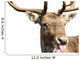 Rude Deer Wall Decal