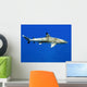 Requin Pointe Noire-black Tip Wall Decal