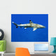Requin Pointe Noire-black Tip Wall Decal