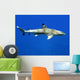 Requin Pointe Noire-black Tip Wall Decal