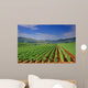 Vineyard Field Macedonia Wall Decal