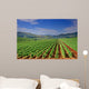 Vineyard Field Macedonia Wall Decal