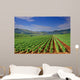 Vineyard Field Macedonia Wall Decal