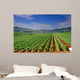 Vineyard Field Macedonia Wall Decal