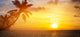 Art Beautiful sunrise over the tropical beach Wall Mural