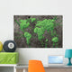 Global Spread Wall Decal