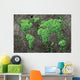 Global Spread Wall Decal