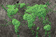 Global Spread Wall Decal