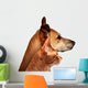 Dog and Cat Wall Decal