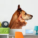 Dog and Cat Wall Decal