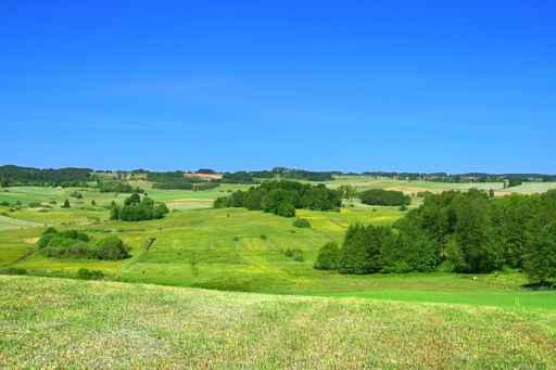 Summer Landscape with Cloudless Wall Decal