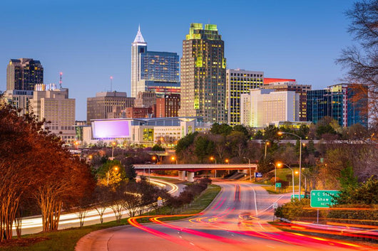 Raleigh Skyline Wall Decal
