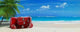 Tropical Trip Red Wall Decal