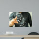 Safe Wall Decal