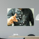 Safe Wall Decal