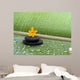 Fleur D'orchida E Esprit Wall Decal