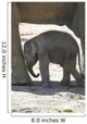 Elephanteau Wall Decal