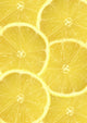 Fresh Lemon Slices Wall Decal