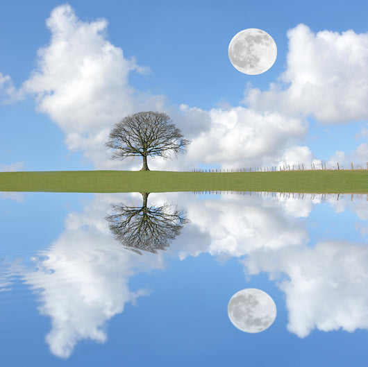 Tranquility Wall Decal