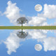 Tranquility Wall Decal