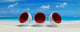 Tropical Red Bulles Wall Decal