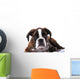 Boxer Dog Studio Wall Decal