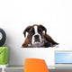 Boxer Dog Studio Wall Decal