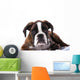 Boxer Dog Studio Wall Decal