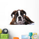 Boxer Dog Studio Wall Decal