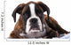 Boxer Dog Studio Wall Decal