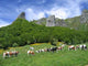 Mountain Landscape Wall Decal