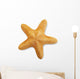 Starfish Wall Decal