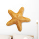 Starfish Wall Decal