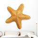 Starfish Wall Decal