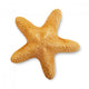 Starfish Wall Decal