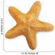 Starfish Wall Decal