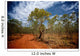 Red Dirt Road and Wall Decal
