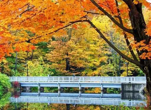 Autumn Bridge Wall Decal