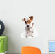 Jack Russell Terrier Dog Wall Decal