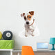 Jack Russell Terrier Dog Wall Decal