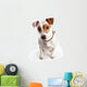 Jack Russell Terrier Dog Wall Decal