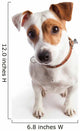 Jack Russell Terrier Dog Wall Decal